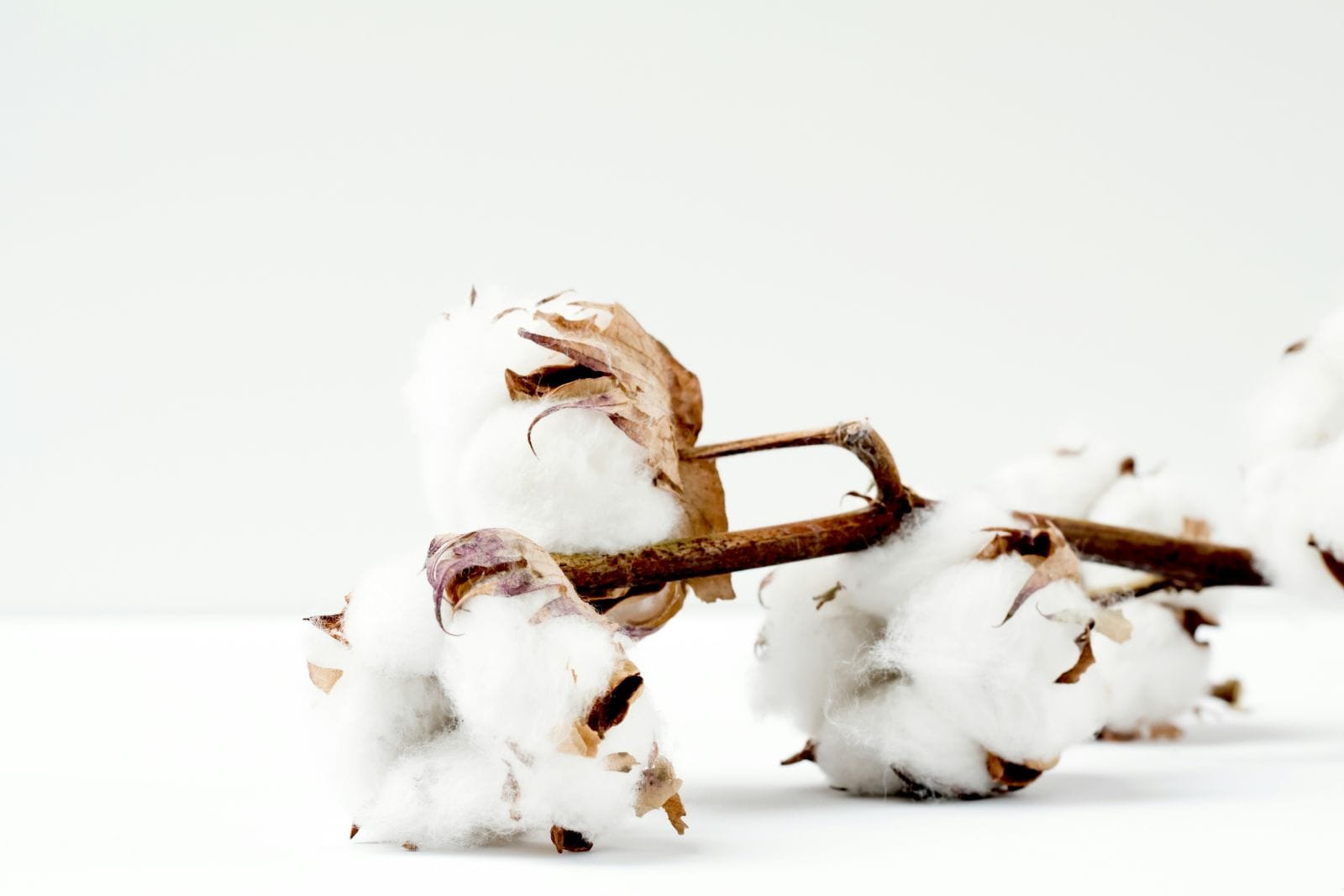 Cotton Sharply Lower on Thursday, Rejecting 80 Cent Mark